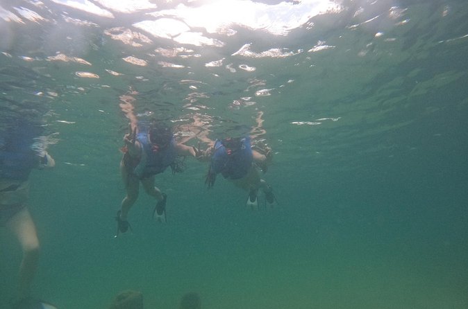 San Juan Turtle Spotting Snorkel Adventure with Videos - Guides make the biggest difference for beginners