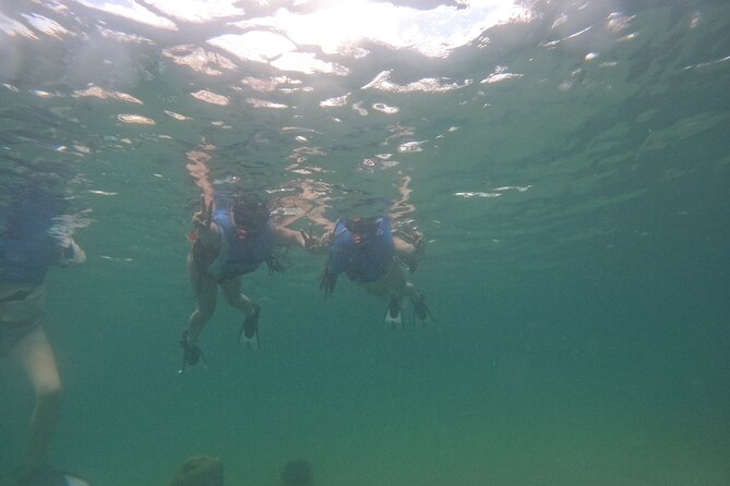 San Juan Turtle Spotting Snorkel Adventure with Videos - Crowds, water conditions, and timing can change the feel