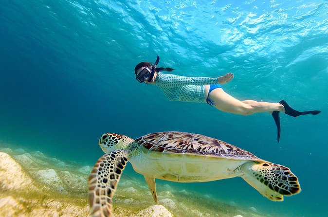 San Juan Turtle Spotting Snorkel Adventure with Videos - Practical details before you go