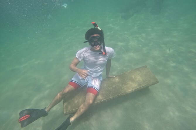 San Juan Turtle Spotting Snorkel Adventure with Videos - The turtle search is the heart of the tour