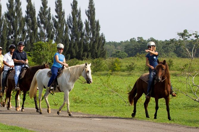 Scenic Horseback Riding Tour from San Juan - Leaving San Juan for Hacienda Campo Rico