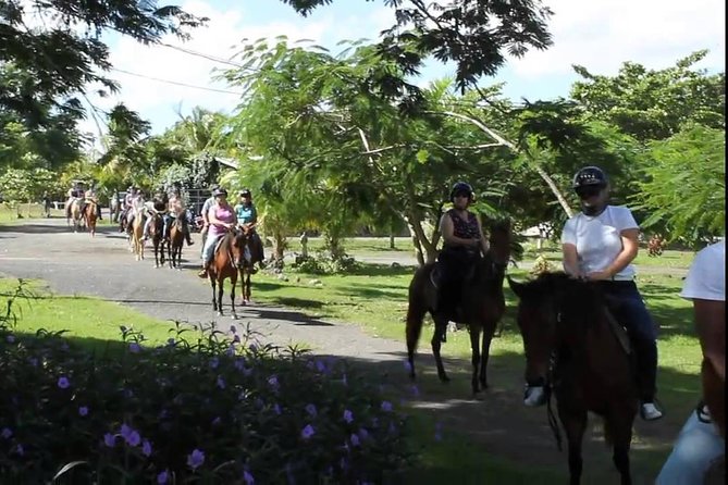 Scenic Horseback Riding Tour from San Juan - Heat, mud, clothing, and comfort