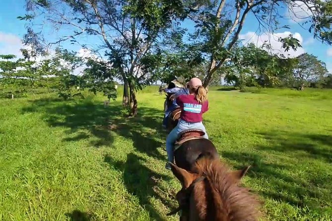 Scenic Horseback Riding Tour from San Juan - The strict 240-pound rule