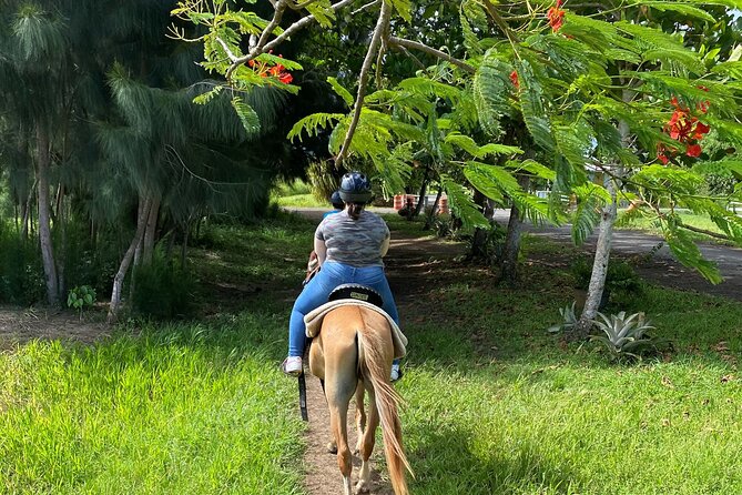 Scenic Horseback Riding Tour from San Juan - Who should book this horseback ride?