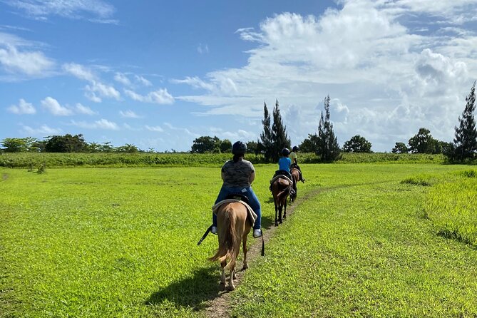 Scenic Horseback Riding Tour from San Juan - Meeting your horse and learning the basics