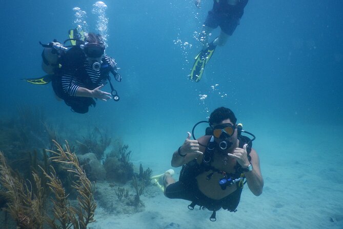 Scuba Dive and Snorkel Private Charter in Puerto Rico - A Private Reef Day That Keeps Everyone Together