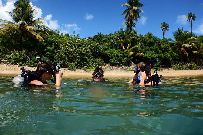 Scuba Dive and Snorkel Private Charter in Puerto Rico - What the Ceiba Reefs Offer at 30 to 60 Feet