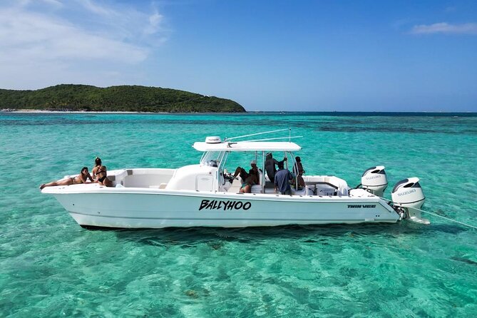 Scuba Dive and Snorkel Private Charter in Puerto Rico - Snorkeling, Paddle Boards, and Time on the Surface