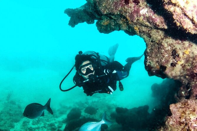 Scuba Tour for Certified Divers in San Juan - What this San Juan scuba outing is really like