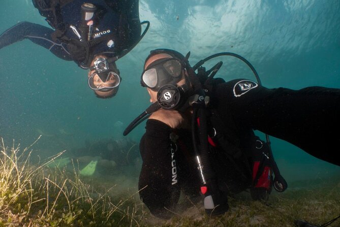Scuba Tour for Certified Divers in San Juan - Escambrón Marine Park and its unusual underwater sights