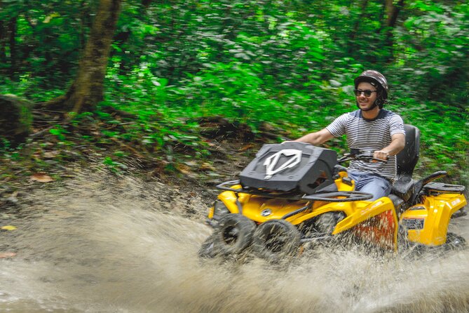 Single ATV Experience: Free Piña Colada + Hacienda Transfer - Paso Fino horses and the stable stop