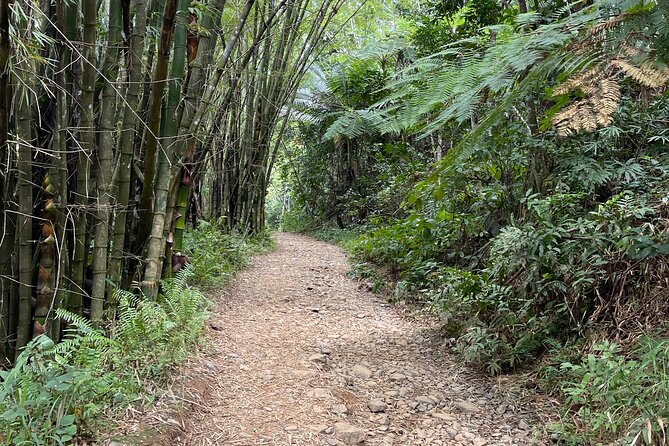 Small Group El Yunque Half Day Tour with Transport: Waterslide - The natural waterslide and swimming stop