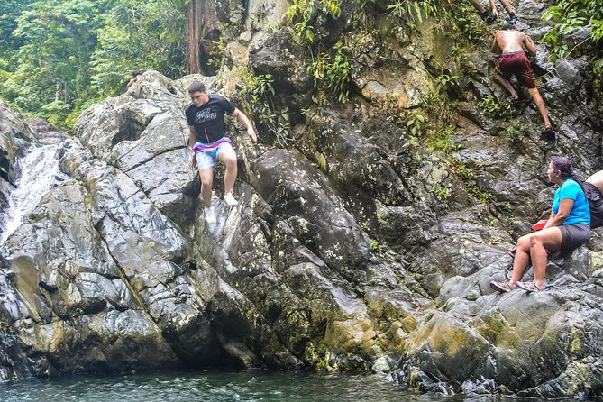 Small-Group El Yunque Rainforest Vivid Day Tour with Transport - The Second Pool, Waterfall, and Rock Slide