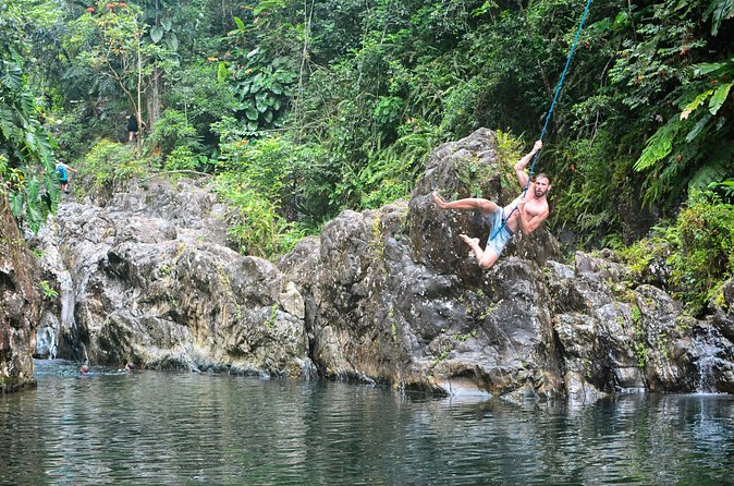 Small-Group El Yunque Rainforest Vivid Day Tour with Transport - How Much Hiking Will You Actually Do?