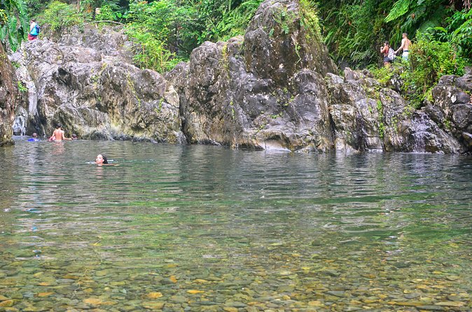 Small-Group El Yunque Rainforest Vivid Day Tour with Transport - Guides Make a Real Difference