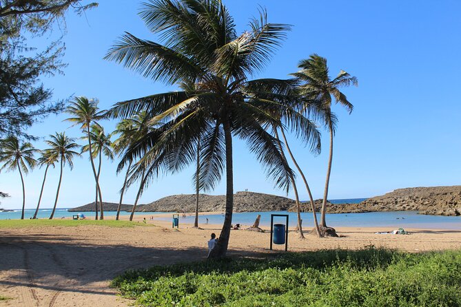 Small-Group North Coast Beach Hopping Adventure in Puerto Rico - Is $139.99 a fair price?