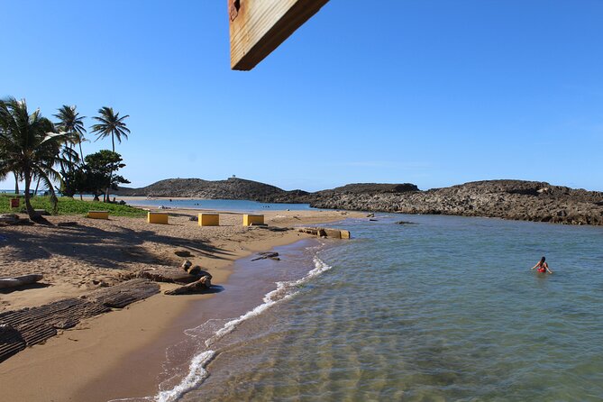 Small-Group North Coast Beach Hopping Adventure in Puerto Rico - Who will enjoy this beach-hopping day?