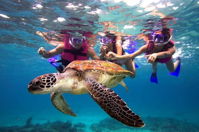 Snorkel, Swim & Snap-w/ Video - Start at Escambron Beach in San Juan