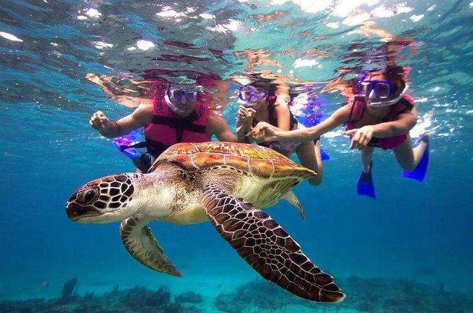 Snorkel, Swim & Snap-w/ Video - Cancellation and booking timing