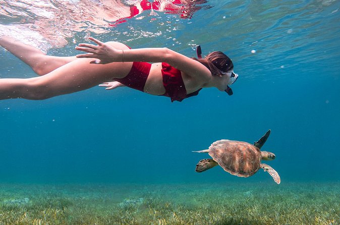 Snorkel, Swim & Snap-w/ Video - Who should book this experience