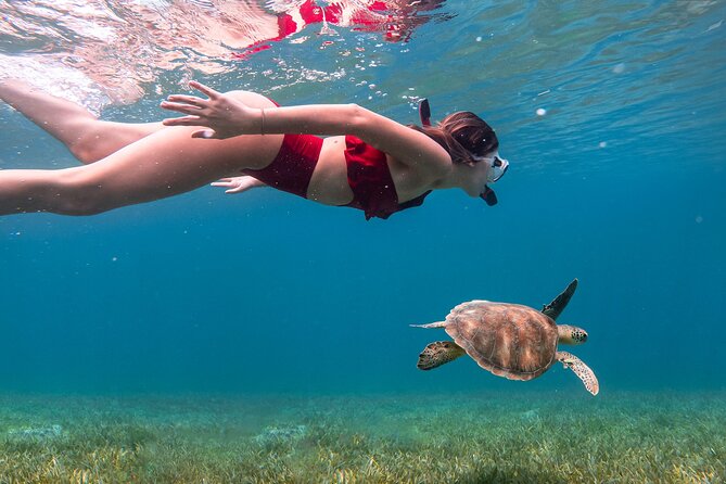 Snorkel, Swim & Snap-w/ Video - The GoPro video is a useful extra
