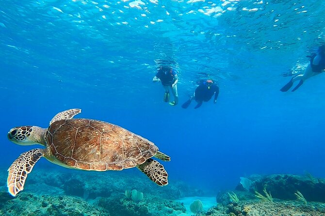Snorkeling Adventure in Aguadilla - What the two-hour itinerary feels like