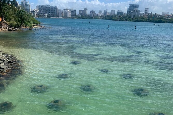 Snorkeling Guided Tour Experience in Condado Lagoon - Key points to know before you book