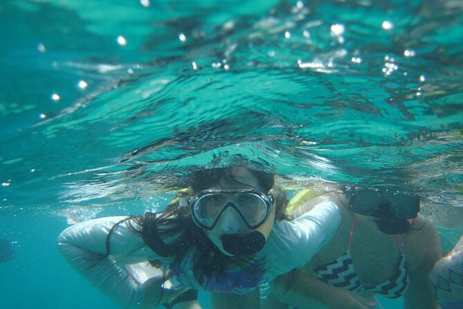 Snorkeling Guided Tour Experience in Condado Lagoon - Fish, sea stars, turtles, and the chance of a manatee