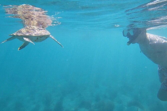 Snorkeling in Paradise - Videos Included - The first 20 minutes: safety, equipment, and getting comfortable