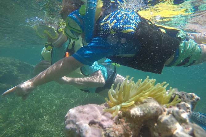 Snorkeling & Kayak Eco-Adventure in Puerto Rico - Paddling through Las Cabezas de San Juan