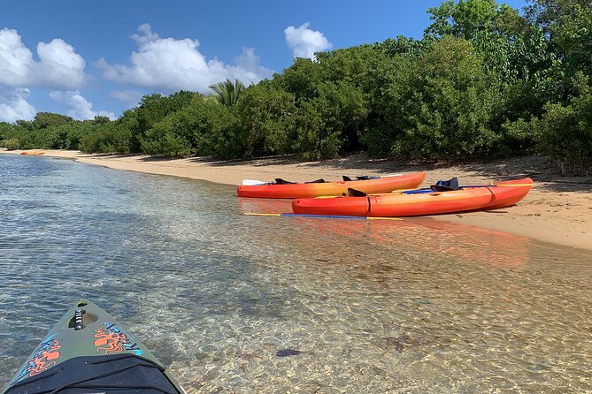 Snorkeling & Kayak Eco-Adventure in Puerto Rico - Snorkeling from the beach