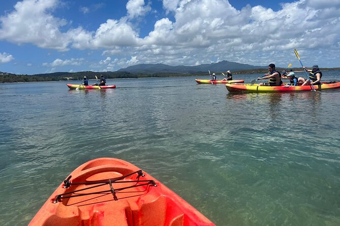 Snorkeling & Kayak Eco-Adventure in Puerto Rico - Why the $69 price makes sense
