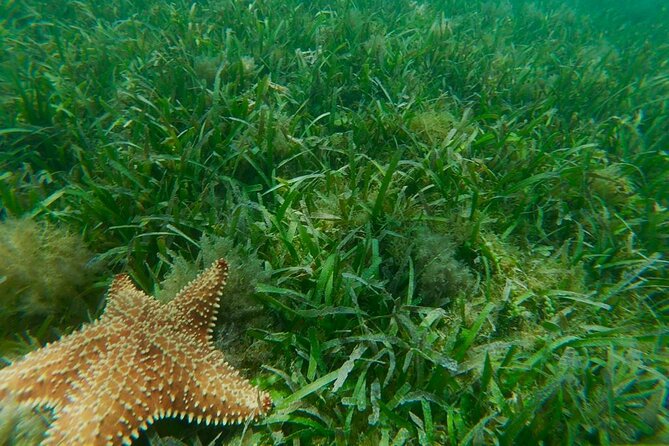 Snorkeling & Kayak Eco-Adventure in Puerto Rico - Timing, parking, and the late-arrival problem