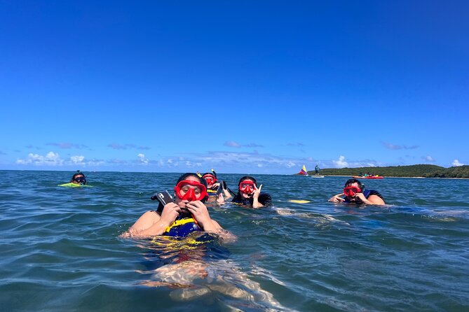 Snorkeling & Kayak Eco-Adventure in Puerto Rico - Who should book this Fajardo excursion?