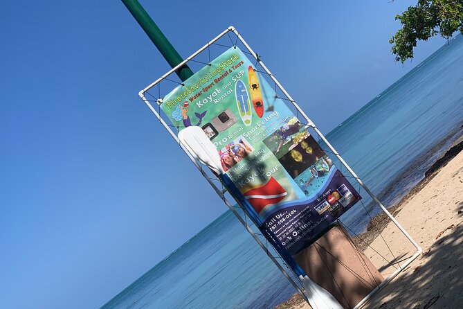 Snorkeling & Kayak Eco-Adventure in Puerto Rico - What the ecology talk adds