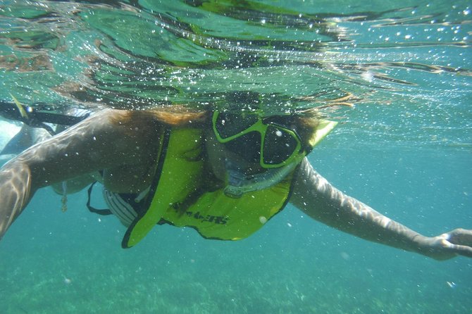 Snorkeling Lesson & Interactive Experience for Kids and Adults - Why the small group matters