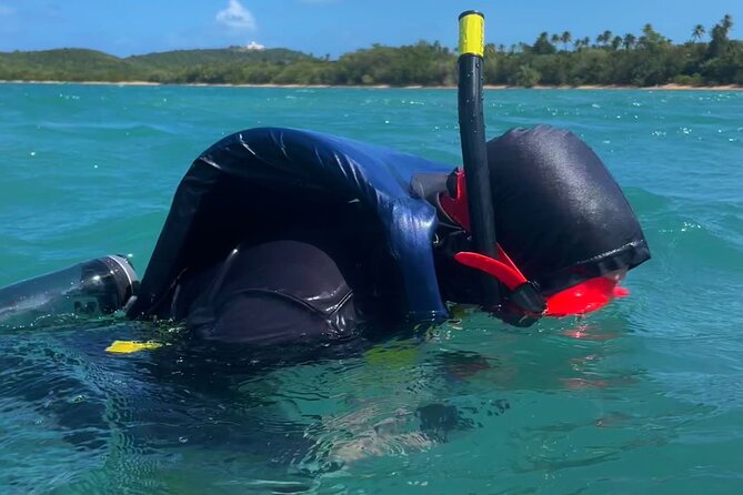 Snorkeling Lesson & Interactive Experience for Kids and Adults - Your gear remains available until 4:30 pm