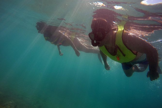 Snorkeling Lesson & Interactive Experience for Kids and Adults - Marine life, attention, and realistic expectations