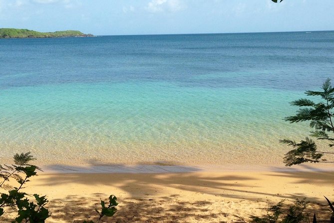 Snorkeling Lesson & Interactive Experience for Kids and Adults - What happens during the beach lesson