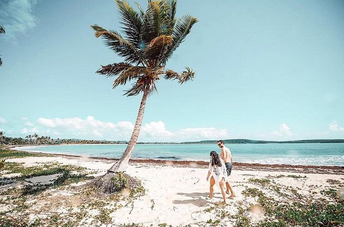 Snorkeling Tour to Vieques Island only 30 minutes away! - Snacks, drinks, and the practical value of $134.92