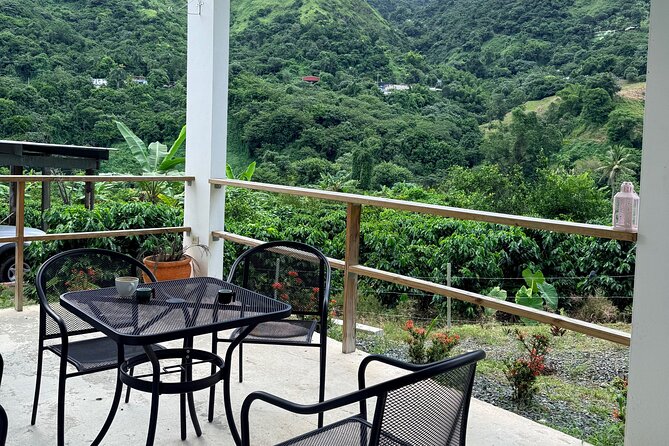 Sueños de Cafe - A Coffee Lovers Dream - The coffee quality and the price of the day