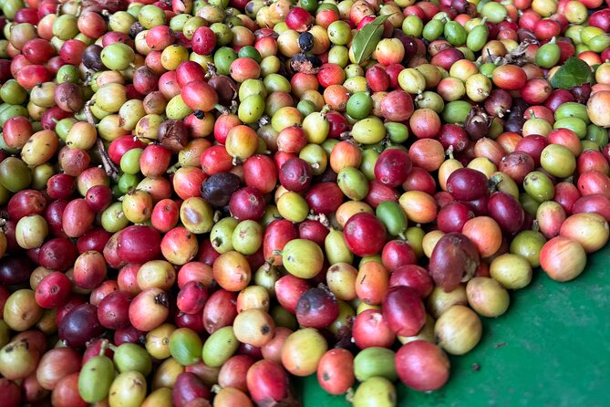 Sueños de Cafe - A Coffee Lovers Dream - Cascada Las Delicias gives the day room to breathe