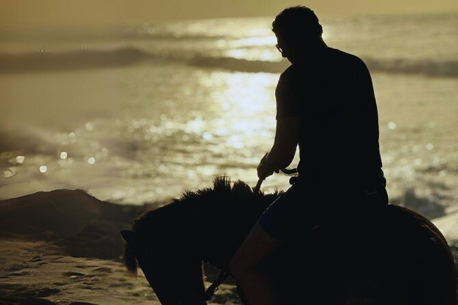 Sunset Horseback Ride by the Beach in Aguadilla, Puerto Rico - What to expect from the horses and guides