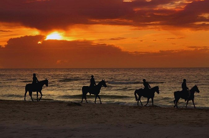 Sunset Horseback Ride by the Beach in Aguadilla, Puerto Rico - The Punta Borinquen Lighthouse ruins