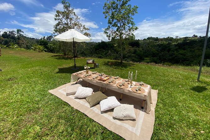 Tailor Made Luxury Picnic with Breathtaking Views - Charcuterie, sweets, and what you need to add