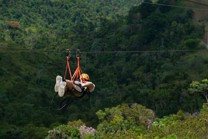The Beast Zipline at Toroverde Adventure Park in Puerto Rico - Cameras, Photos, and Small Details That Matter
