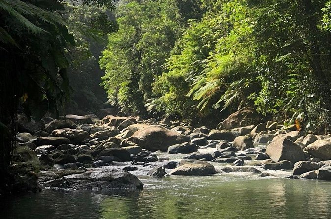 The Best Rainforest Experience in Puerto Rico - The guides make a real difference
