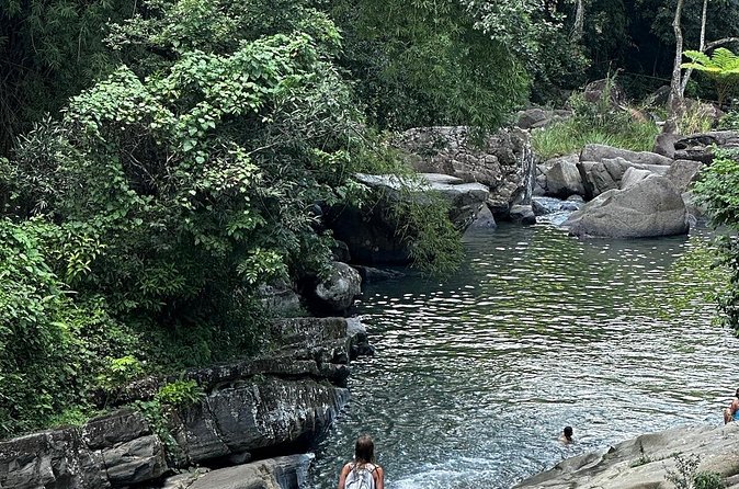 The Best Rainforest Experience in Puerto Rico - What the $75 price really covers