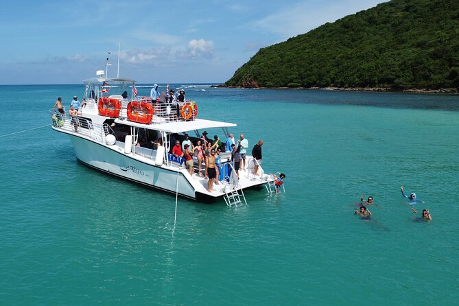 Theo Culebra Island Experience - What the snorkeling is really like
