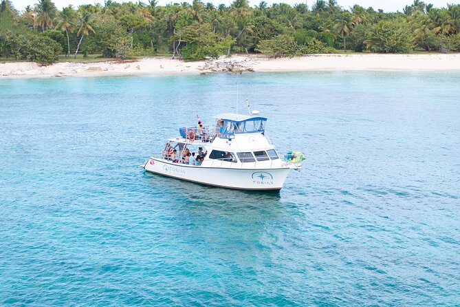 Tobias Icacos Half Day Tour - The coral reef stop comes first